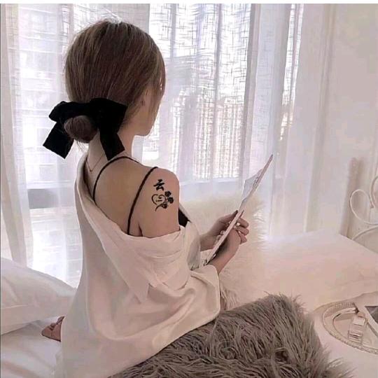 云宝（507）