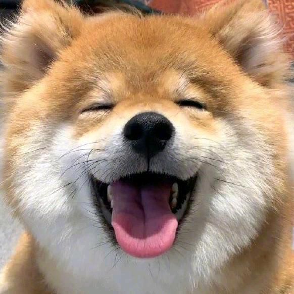 叶哥玩游戏