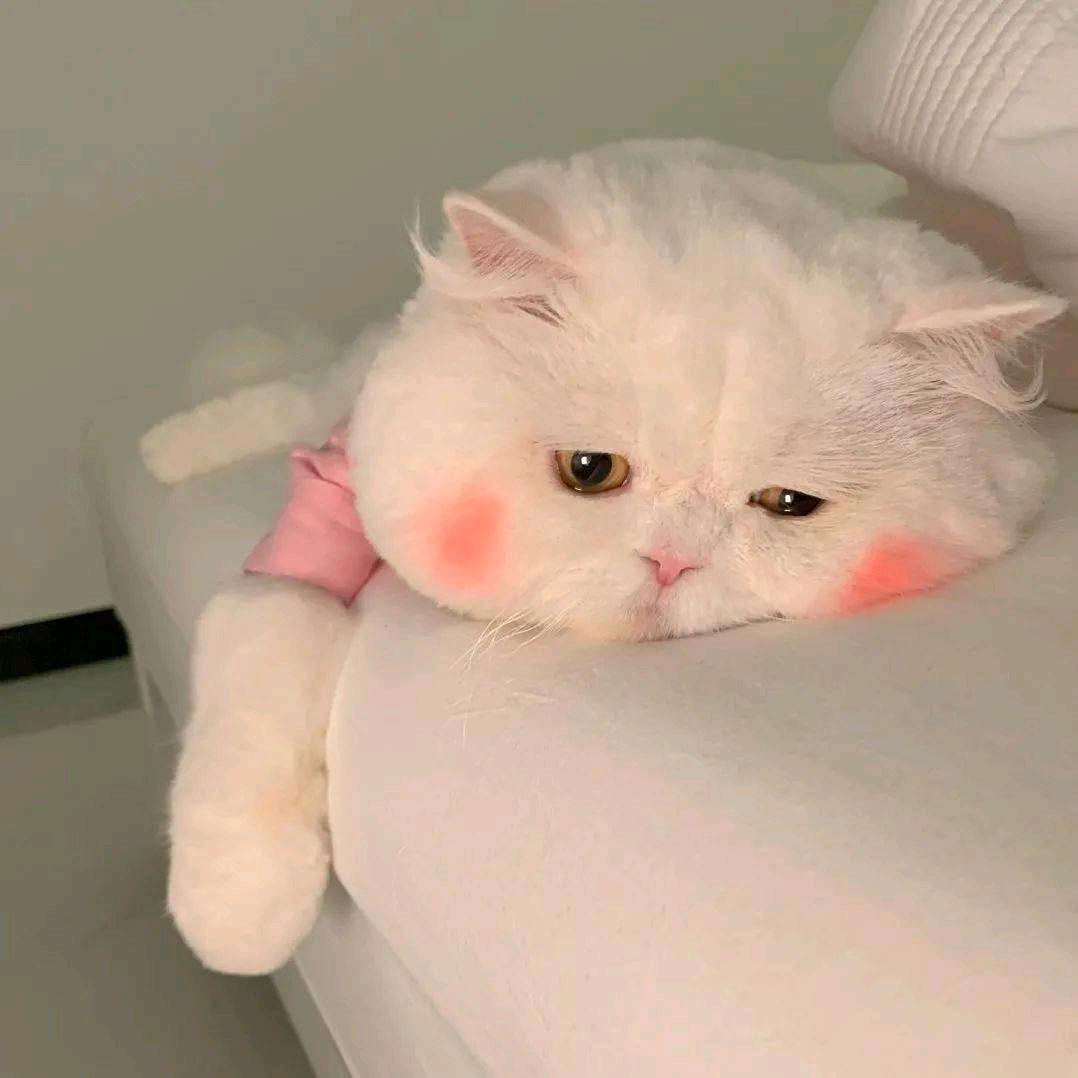 🤨