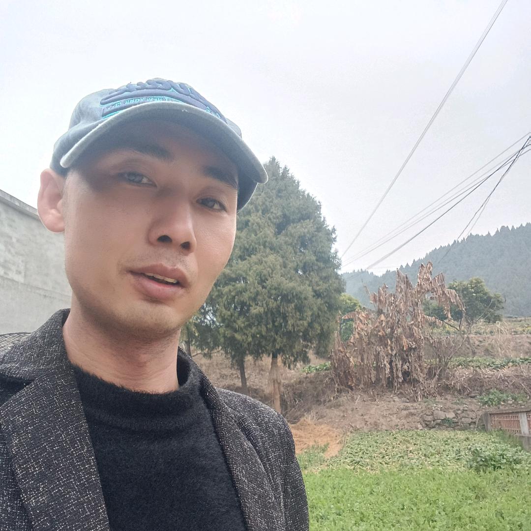 逍遥青龙