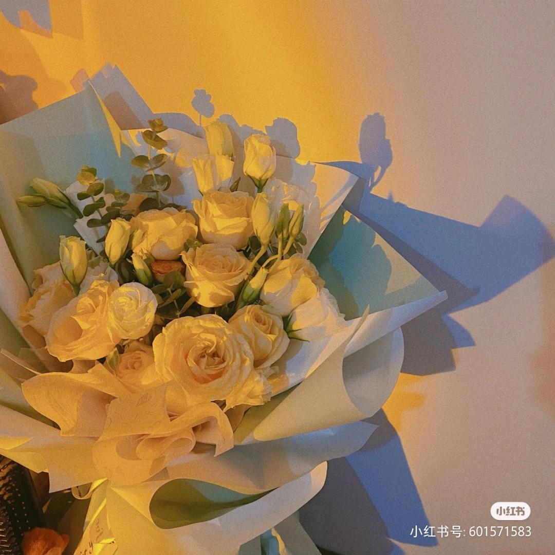 🌻馨苹果儿🌻