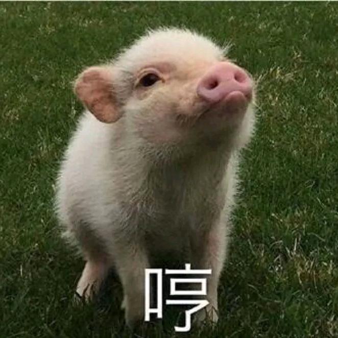 忧郁的肥仔