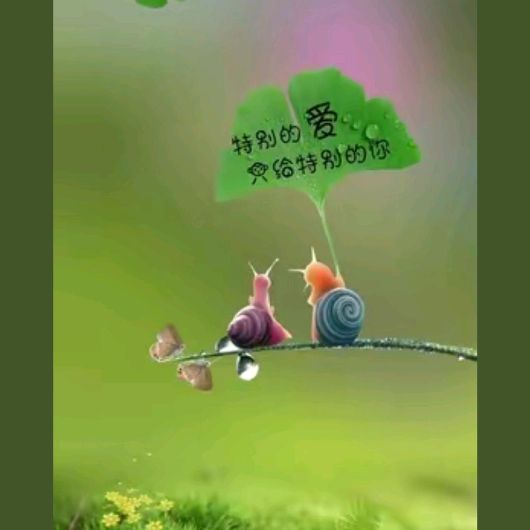 用户5133010141643