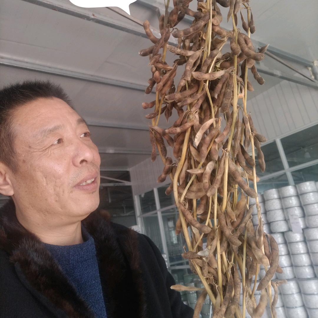 坔育种业(江苏殷开桥)