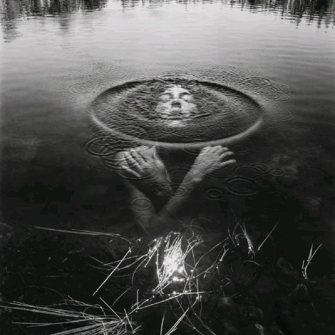 穿白色制服的兔子