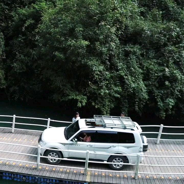 扶摇的蚕