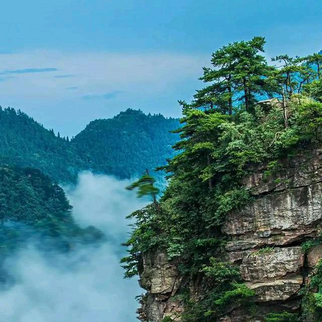 老有 所乐