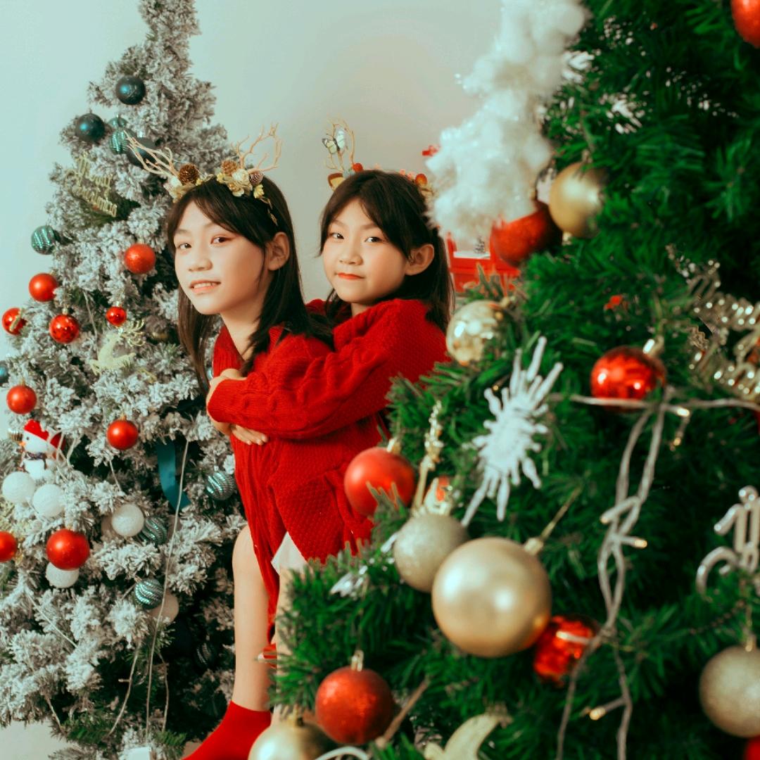 卖房的临家小白