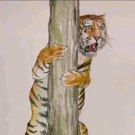 这和我帅有什么关系