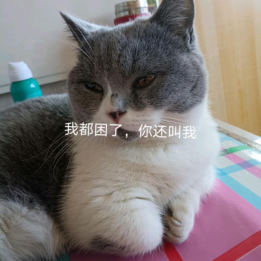 এ᭄遇见ོꦿృ༊