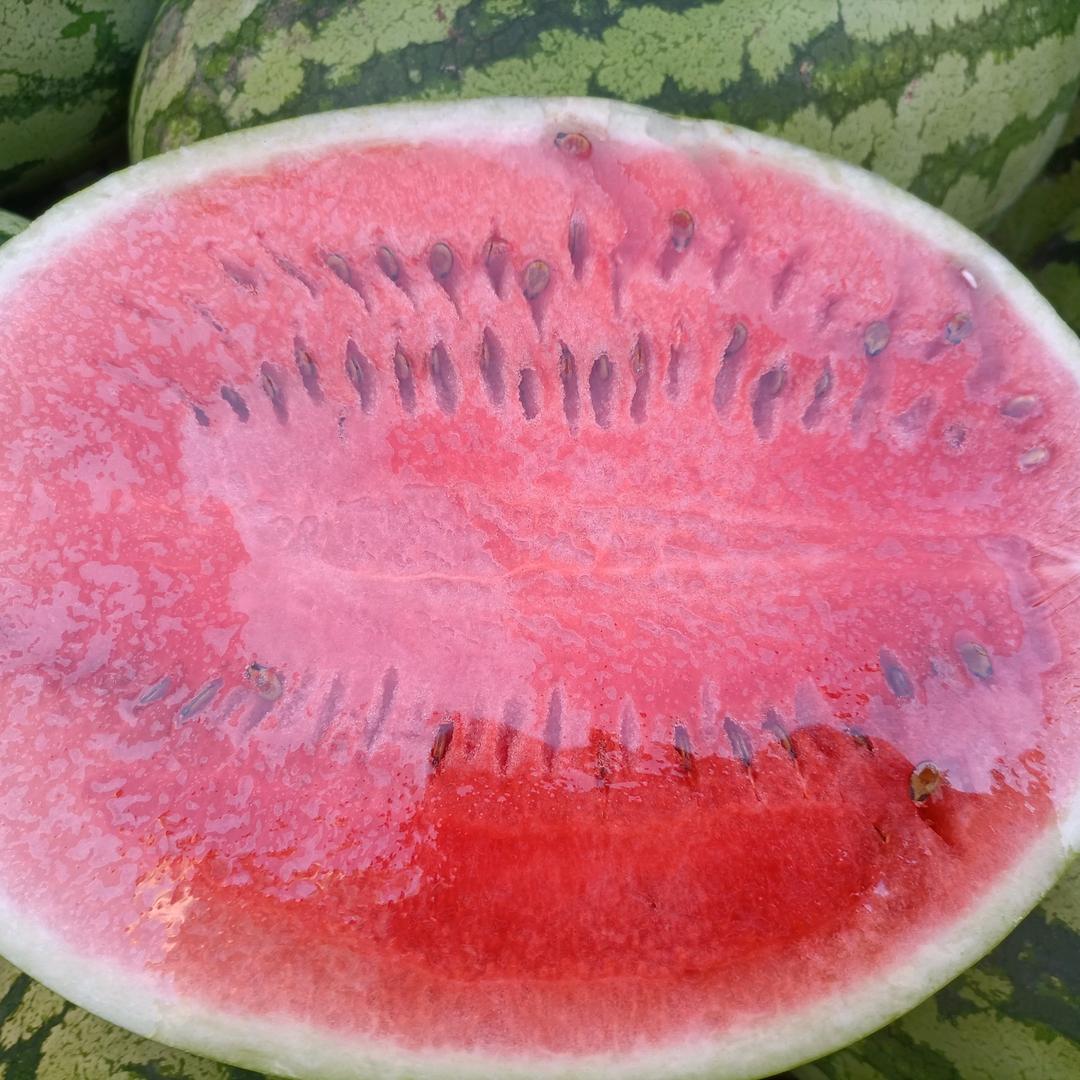 向前进