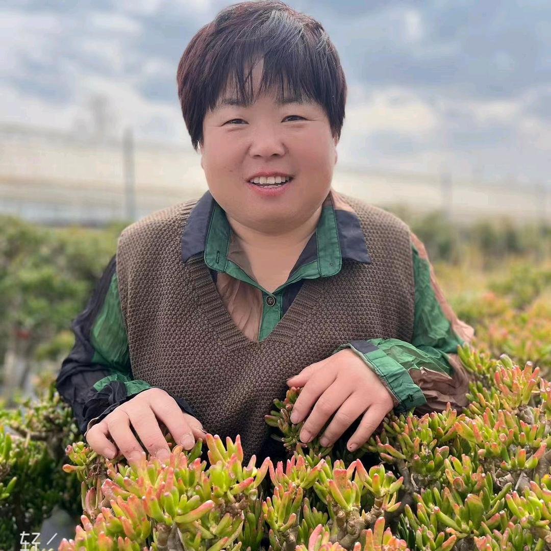 玲姐的花园儿