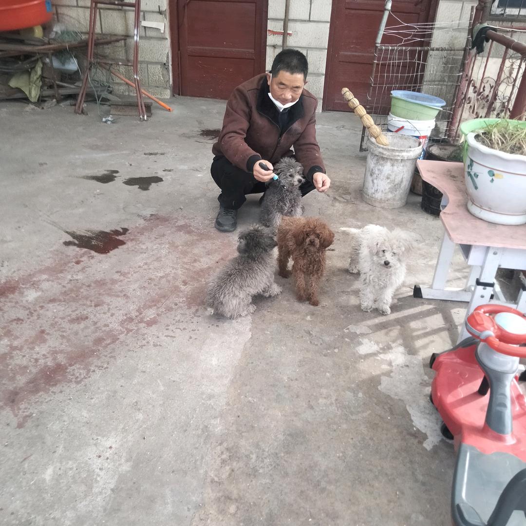 赵贺梅