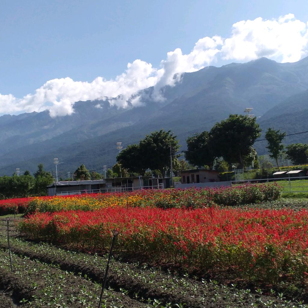 远方的风景