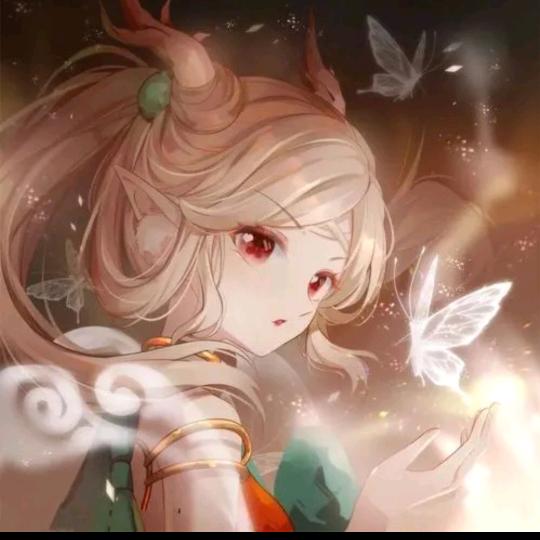 雨中的花