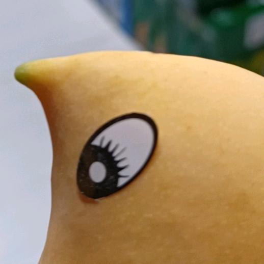 学嘴百灵