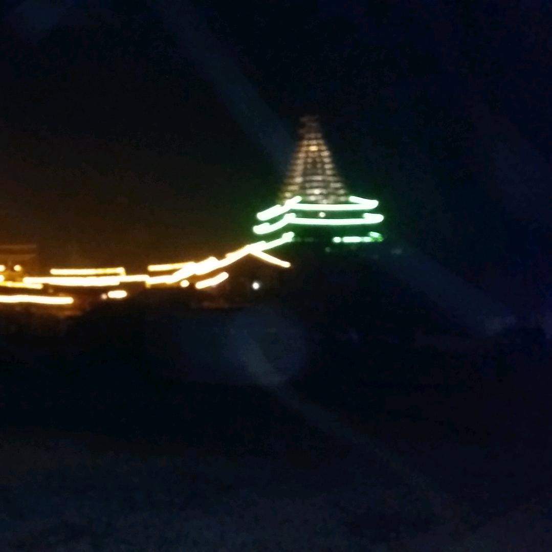 落叶不懂风de挽留