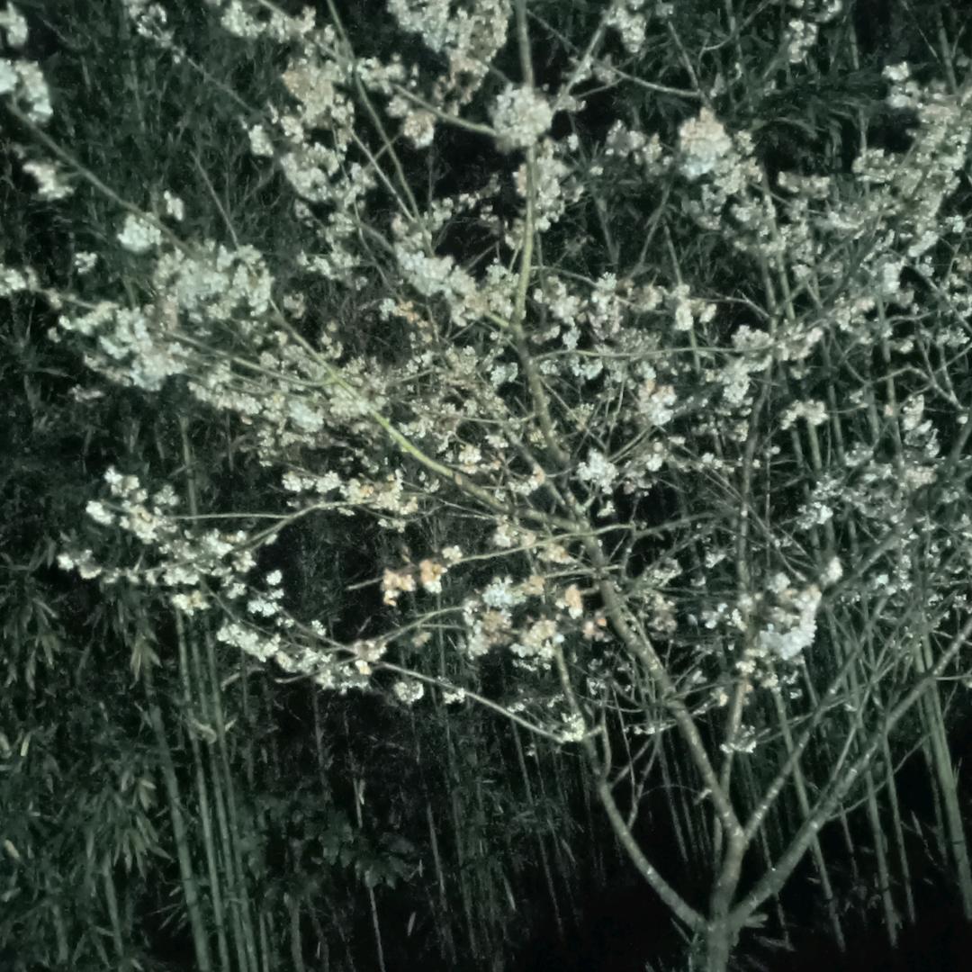 李哥