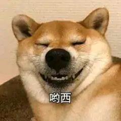 康忙北鼻叫戴迪❤️