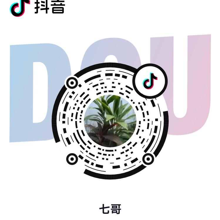 A七哥
