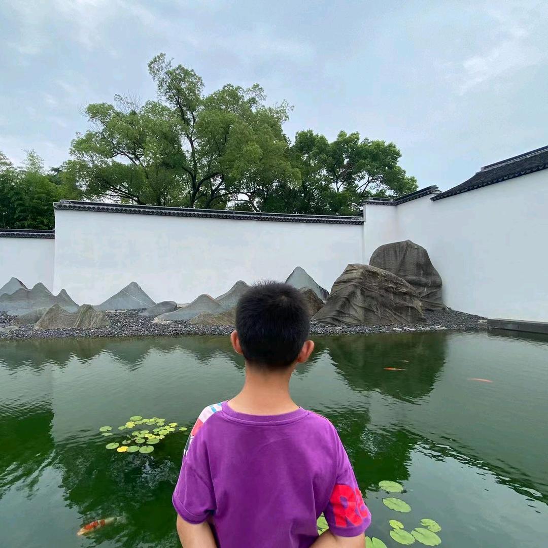 好风飘树柳阴凉