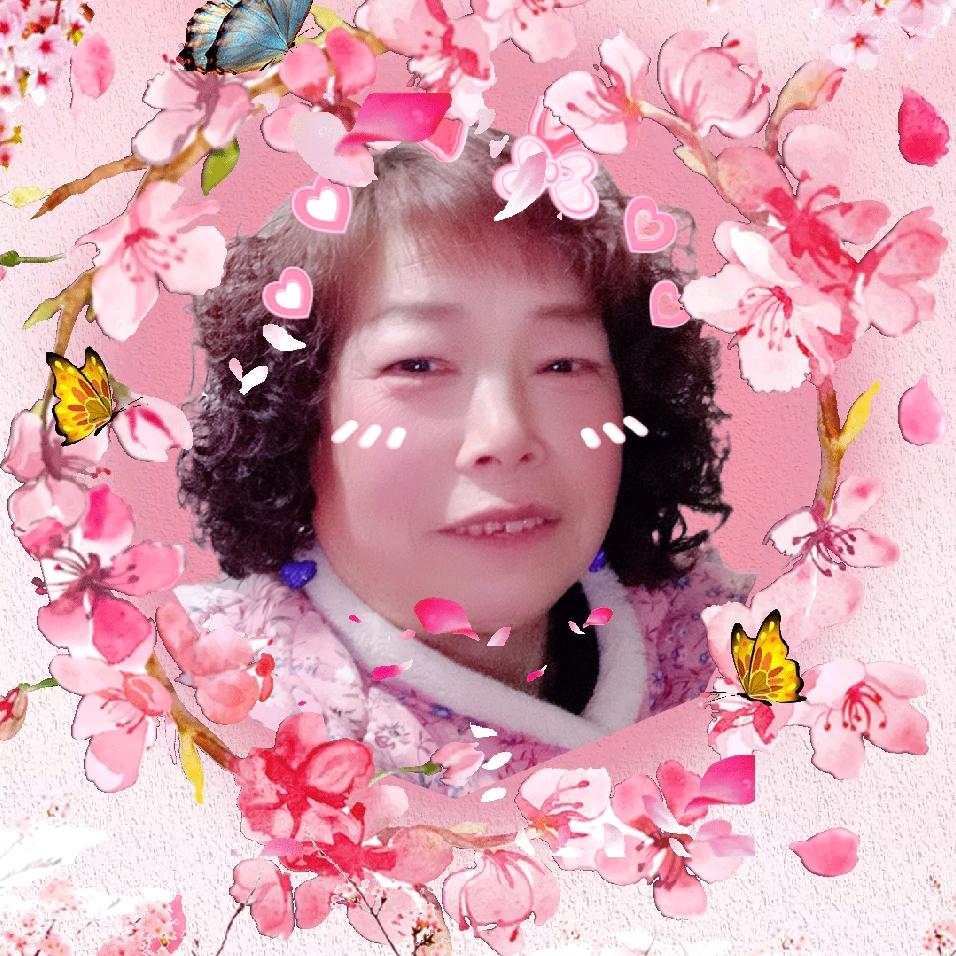 王戏迷