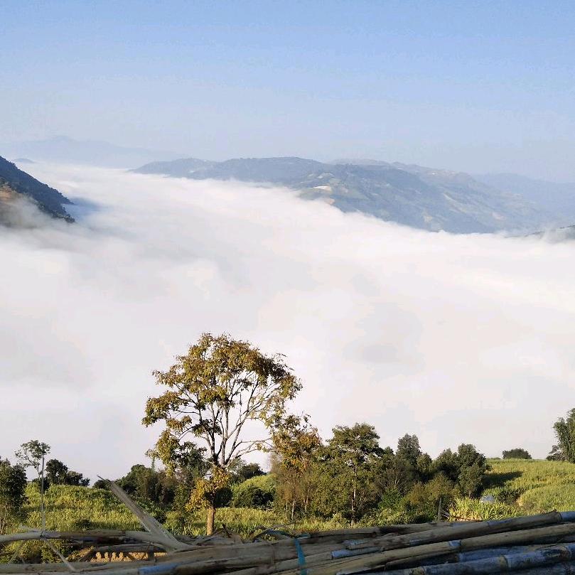 蓝蓝的天空ヾ(❀╹◡╹)ﾉﾞ❀~