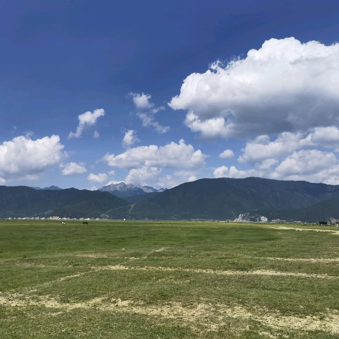 西双版纳州勐腊县榴联苗木园