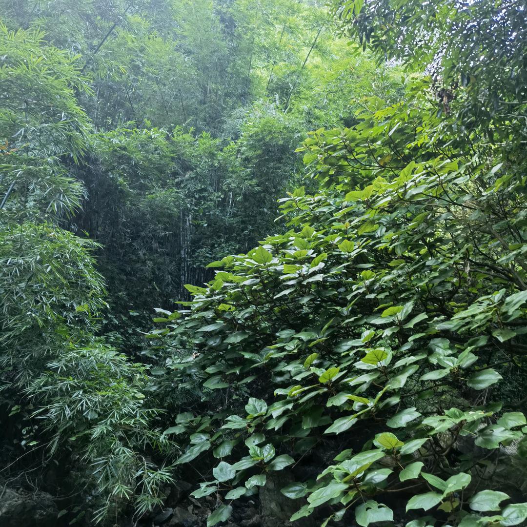 坚忍