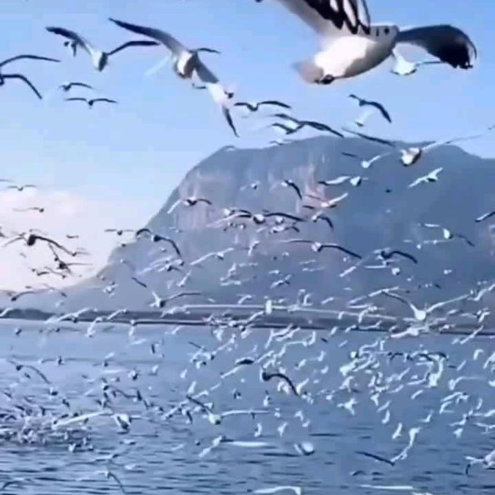 相依随喙