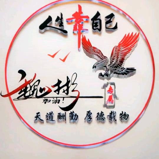 家庭巨贵犬找新家