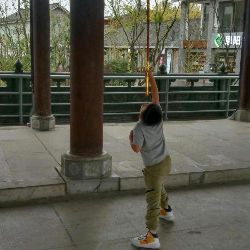 傻傻的小龙