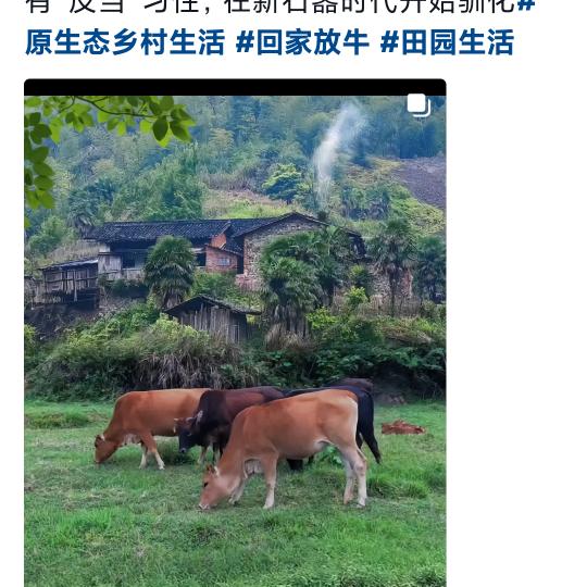 （陳）