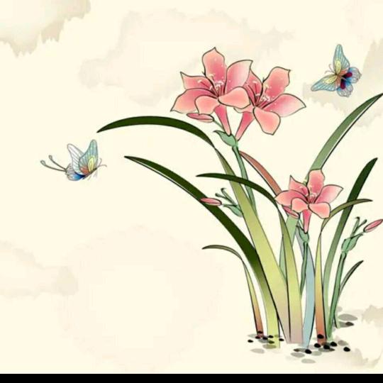 心安是归处-