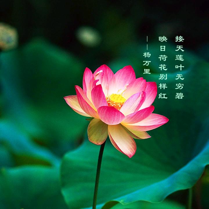 平安
