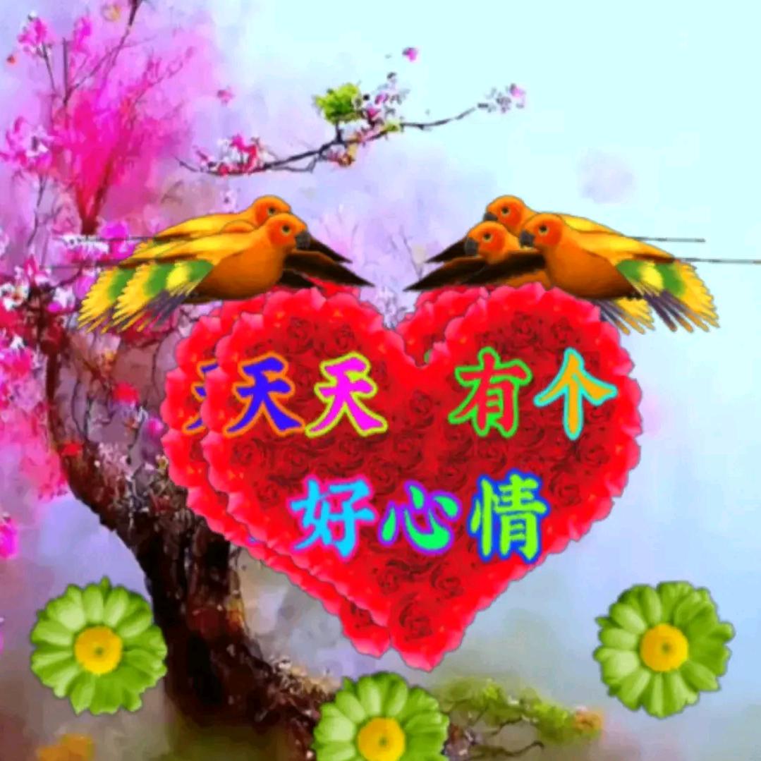 清清的湖水