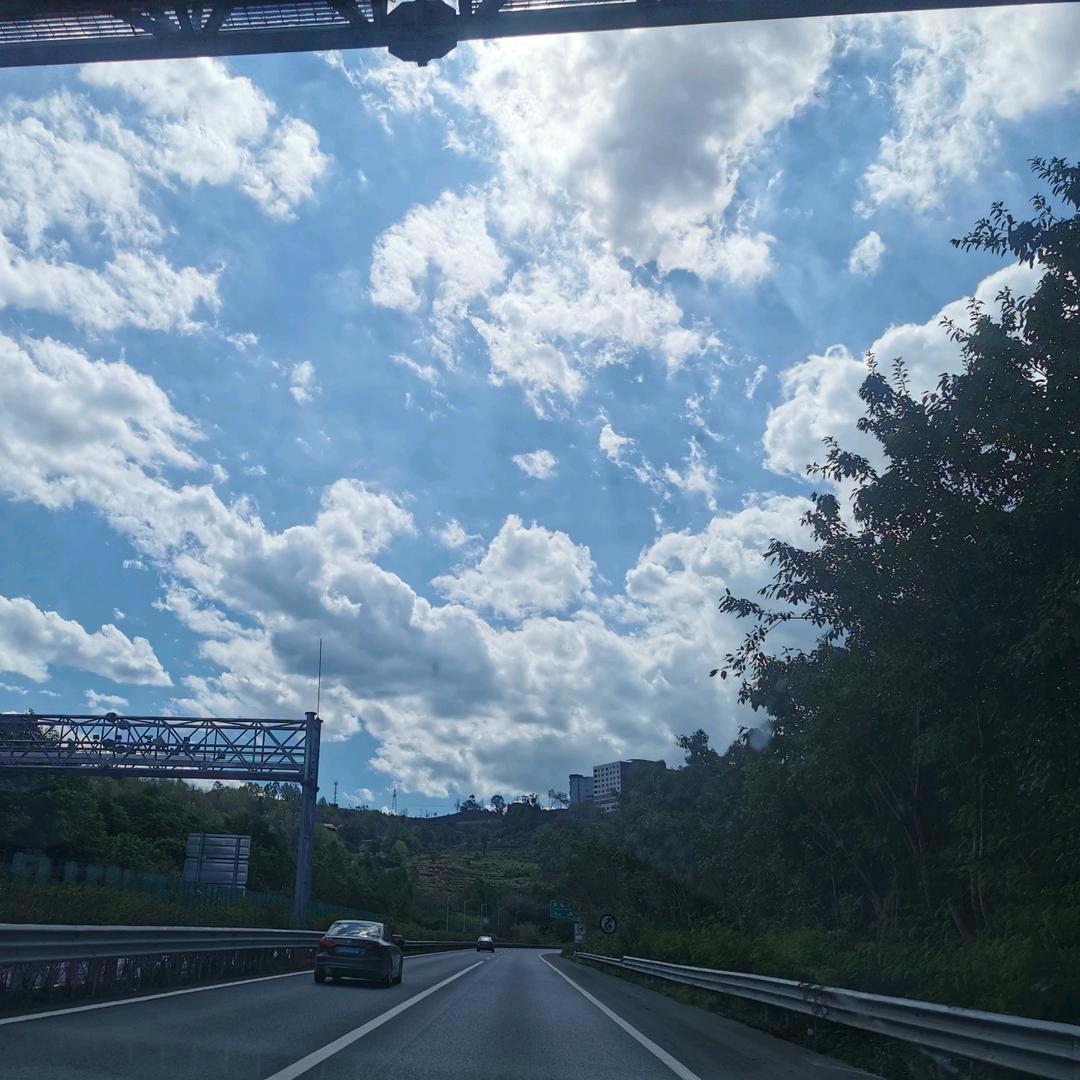 蒋哥
