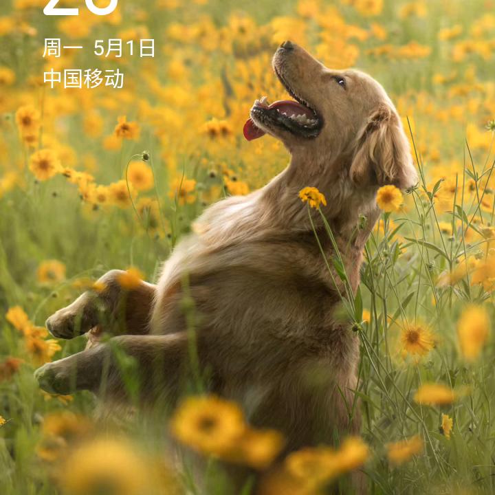 我命由我不由天