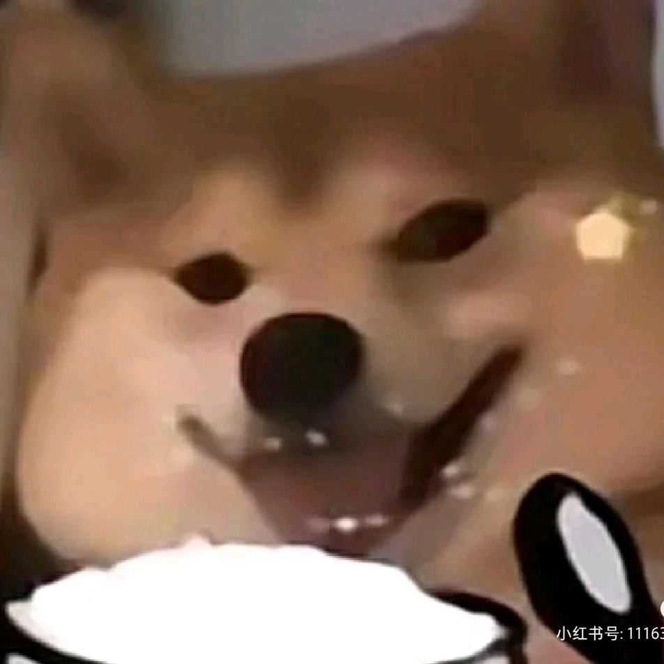 花矢