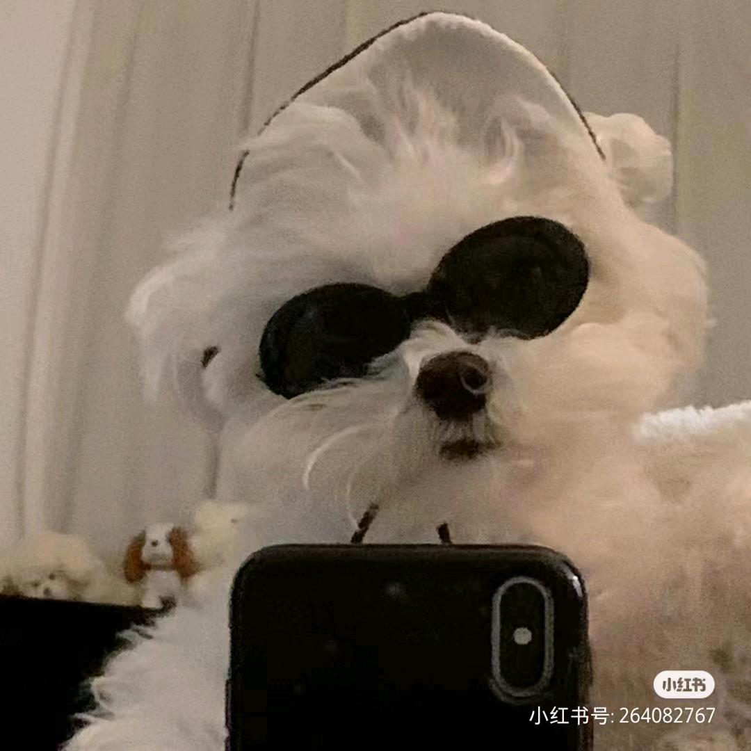 哔哩吧啦李白白（长隆鬼屋版