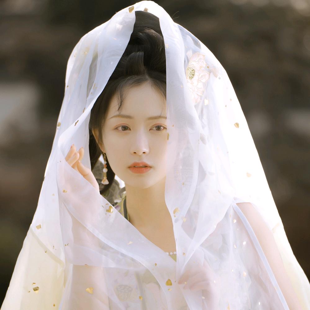 一个云游四方的仙女儿