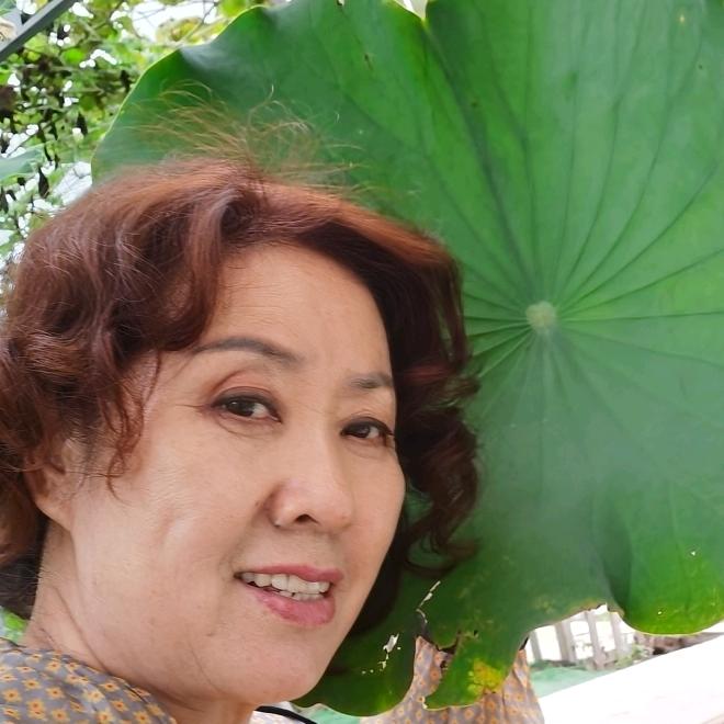 金鱼