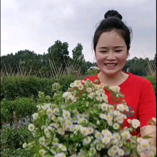 🇨🇳李二姐🇨🇳