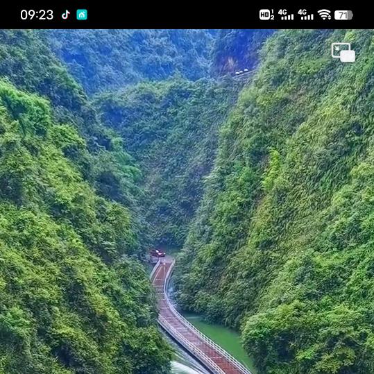 郭晨