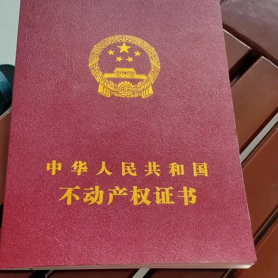 狗🐶蛋子