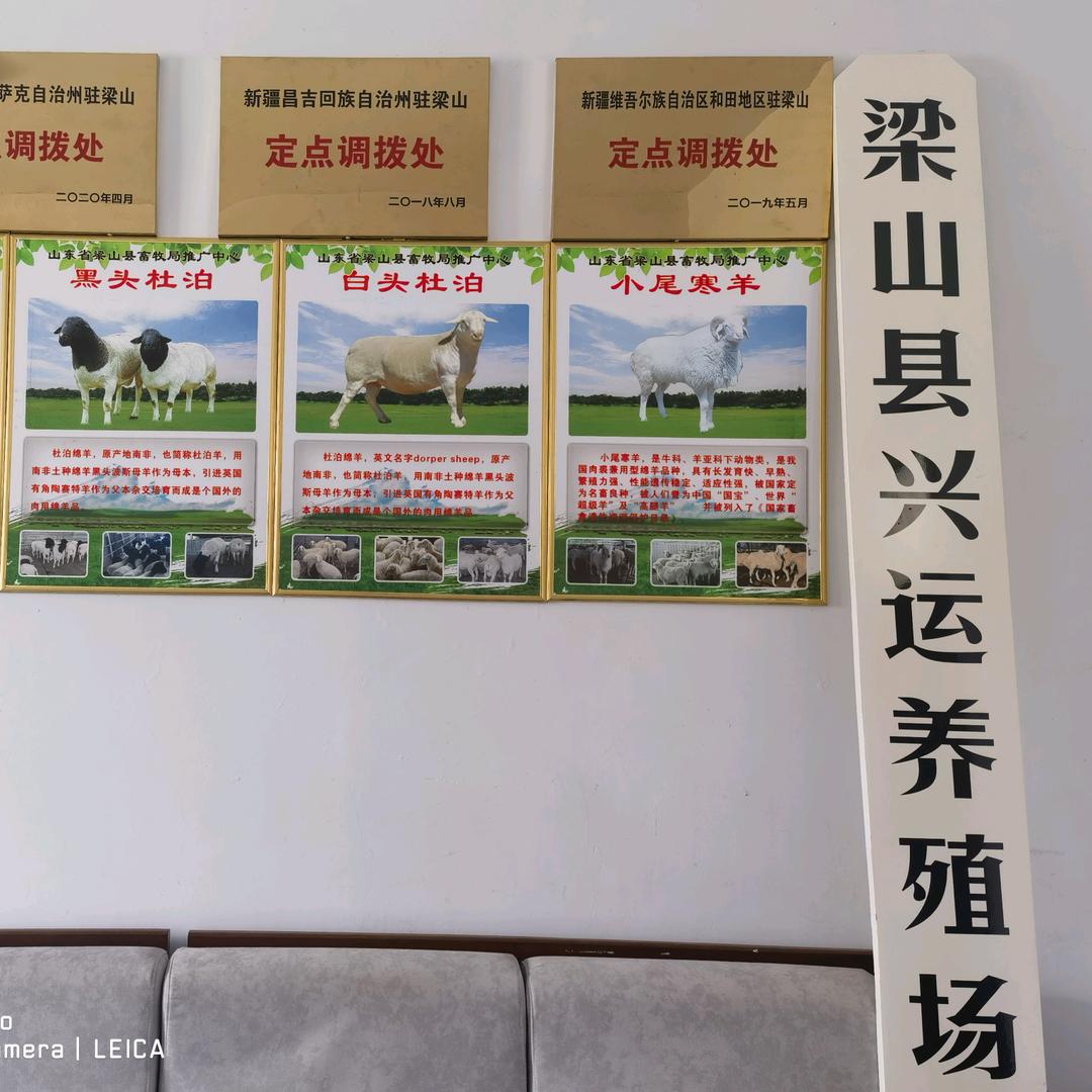 梁山县兴运养殖场