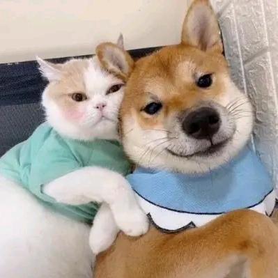 遇一人白首