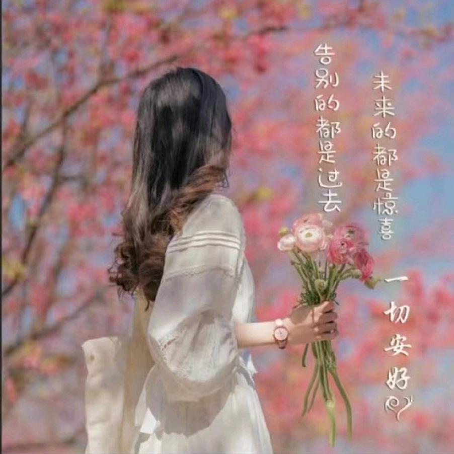 双双优选家居