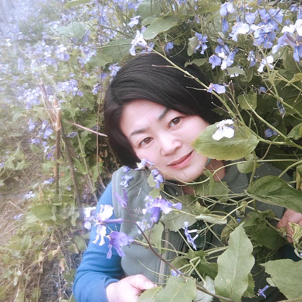 晚秋姐
