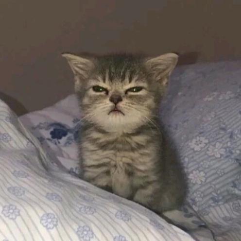 李oo